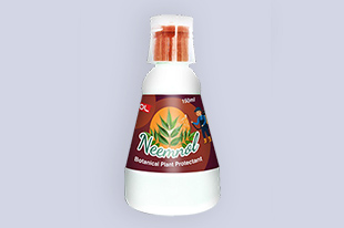 Product 4